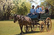 Private Day Tour to an Argentinian Estancia
