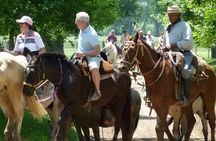 Private Day Tour to an Argentinian Estancia
