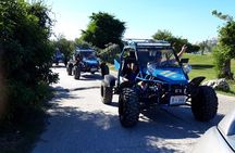 Electric Adventures Buggy Rental
