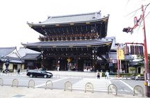 Kyoto Imperial Palace and Nijo Castle Walking Tour