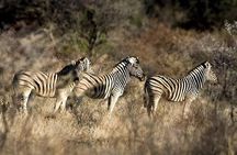 3 Day Camping tour at Etosha National Park