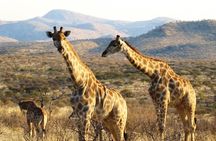 3 Day Camping tour at Etosha National Park