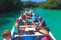 East Sightseeing, Mangrove Tunnel Snorkel, Hole in the Wall, with Transfer