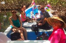East Sightseeing, Mangrove Tunnel Snorkel, Hole in the Wall, with Transfer