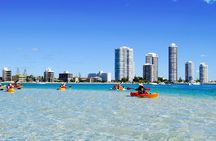 2.5hr Gold Coast Kayaking & snorkelling tour