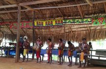 Private Embera tribe Experience (waterfall with Lunch included)