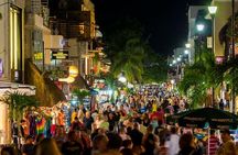 4 amazing places for 1 price and 1 full day tour Tulum, Coba, Cenote and PDC