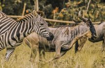 Cebu Safari and Adventure Park