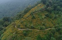Ba Vi National Park Private Tour: Sightseeings & Jungle Hikking 