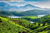 South India Tour- Temple Architecture and Backwaters