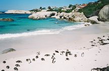Ultimate Cape Point Tour from Cape Town - Full Day
