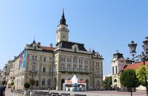 Novi Sad and Sremski Karlovci private tour with wine tasting