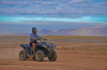 Half-Day Palm grove desert Quad & Camel Tour