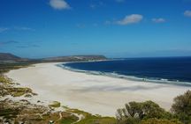 Cape Town: Cape Peninsula Half Day Private Tour
