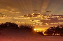 Early Morning Desert Safari With Camel Trekking Experience
