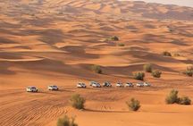 Private Evening Thriller Desert Safari & BBQ Dinner