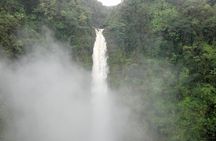 5 Hour Custom Private Tour of Hawaii
