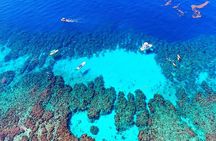 Roatan Zipline, Monkey, Macaws & Sloths Eco Park, Snorkeling, Transfer