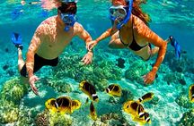 Roatan Buggy Adventure, Snorkeling, Beach Pass plus Private Transfer