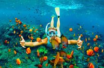Roatan Buggy Adventure, Snorkeling, Beach Pass plus Private Transfer