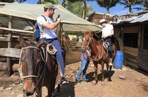 Horseback Riding Adventure from Medellin