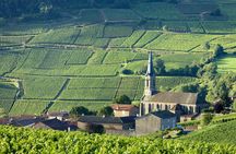 Burgundy Wine Tasting Small-Group Tour in Chablis from Paris