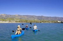 Kayak Tour of Santa Barbara with Experienced Guide