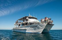 Wilsons Prom Whale Cruise