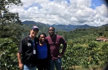 Jardin Private Day Trip: Colombian Coffee Tour from Medellin