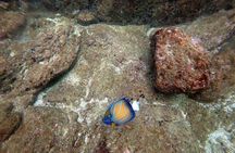 Scuba Diving in Unawatuna