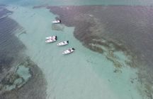 Key West Safari Eco Sandbar Tour Adventure with Snorkeling