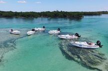 Key West Safari Eco Sandbar Tour Adventure with Snorkeling