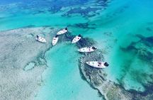 Key West Safari Eco Sandbar Tour Adventure with Snorkeling