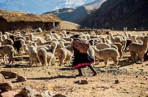 4-Day Lares Trek to Machu Picchu
