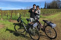 Healdsburg Cycling Wine Tour 