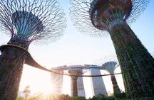 Private Customized Singapore Car Tour (Half Day or Full Day)