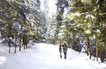 Private Winter Day Trip to the Rila Mountain