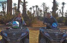 Half-Day Palm grove desert Quad & Camel Tour