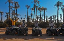Half-Day Palm grove desert Quad & Camel Tour