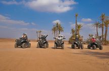 Half-Day Palm grove desert Quad & Camel Tour