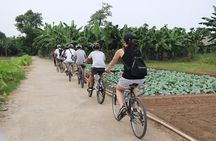 A Glimpse Of Hanoi ,Cultures, History, Backstreet, Train Street