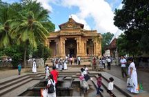 Colombo Shore Excursion to Panoramic Colombo with Kelaniya Temple