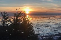 All-in-One Anchorage: City Tour, Wildlife, Lunch & Portage Cruise