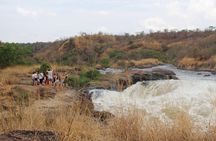 Murchison Falls Safari - 3 Days