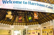 Harrison's Cave Tour from Bridgetown