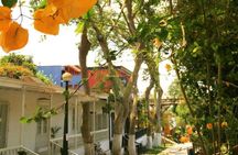 Lima Gourmet Food Tour: Daytime Experience