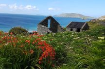 Private Dingle Peninsula Full-Day Tour