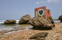 Barbados Island Tour with Lunch and Wildlife Sanctuary