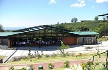 Hacienda Alsacia Starbucks Coffe Tour