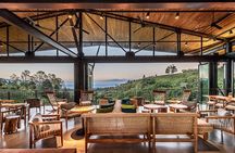 Hacienda Alsacia Starbucks Coffe Tour